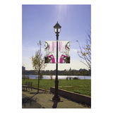 ORIFLAMME DE RUE PARKWAY